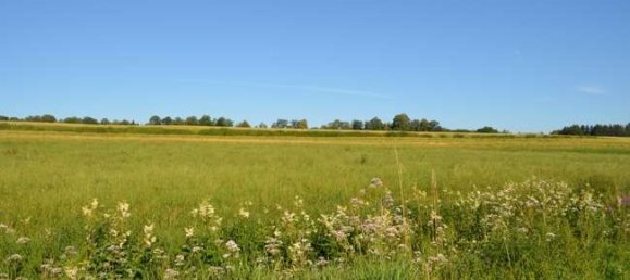 Terrain à Landsberg am Lech, Germany No. 321208 3