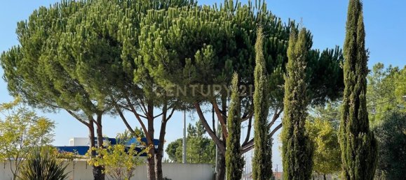 4 bedrooms House in Azambuja, Portugal No. 121213 28