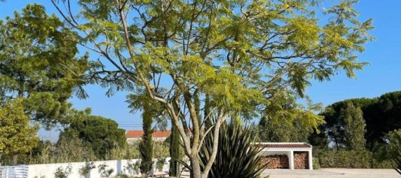 4 bedrooms House in Azambuja, Portugal No. 121213 19