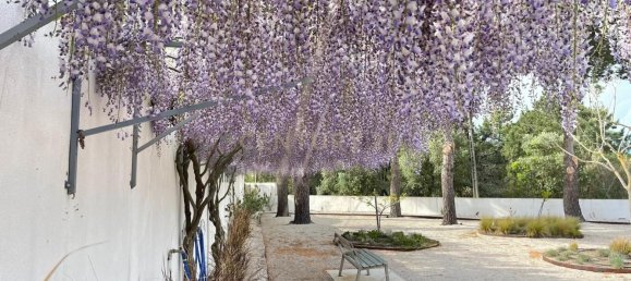 4 bedrooms House in Azambuja, Portugal No. 121213 22