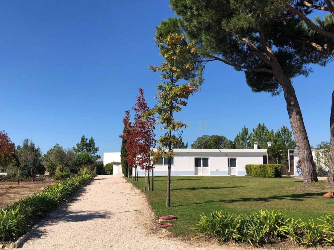 4 bedrooms House in Azambuja, Portugal No. 121213