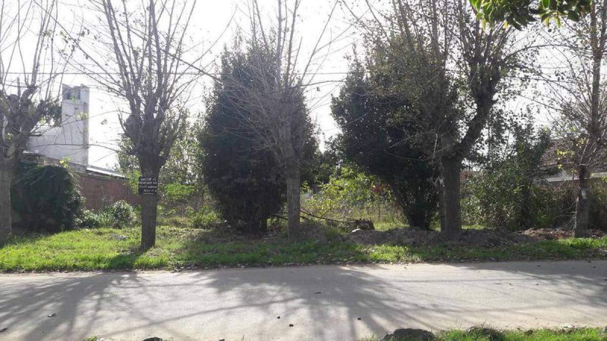 Terreno en Campo Creado, Argentina No. 50200