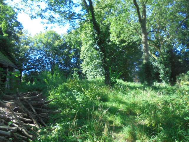  Land in Bremen, Germany No. 31147