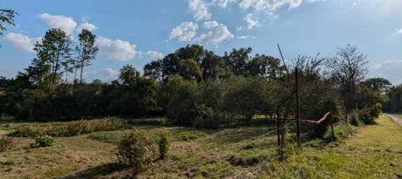 4 bedrooms House in Evres, France No. 60574 29