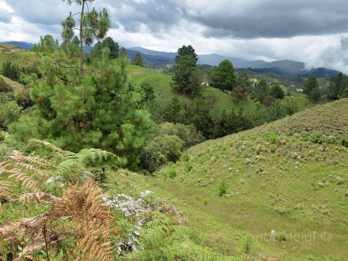  Land in Antioquia, Colombia No. 667