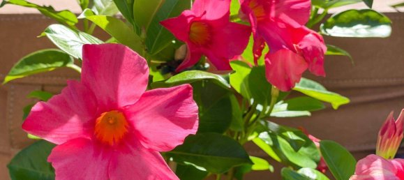 5 rooms Townhouse in Penzing, Austria No. 224598 3