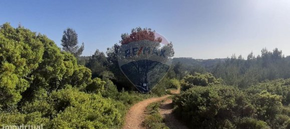 19280m² Land in Sintra, Portugal No. 78425 9