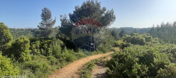 19280m² Land in Sintra, Portugal No. 78425 2