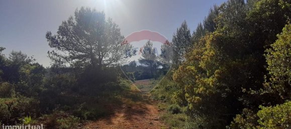 19280m² Land in Sintra, Portugal No. 78425 5