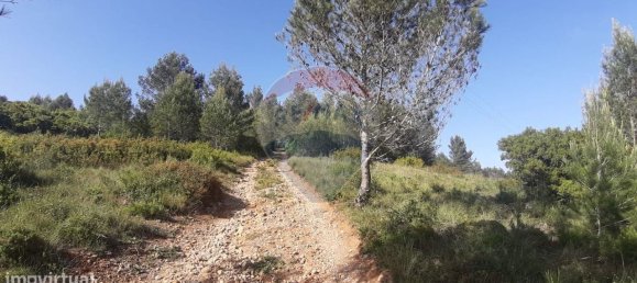 19280m² Land in Sintra, Portugal No. 78425 23