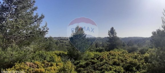 19280m² Land in Sintra, Portugal No. 78425 14