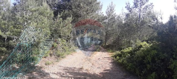 19280m² Land in Sintra, Portugal No. 78425 10