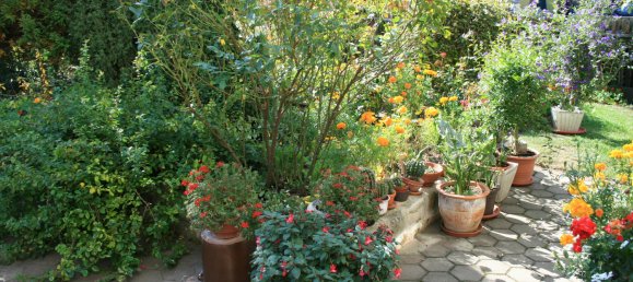 3-Zimmer Bauernhof in Gotha, Germany, Nr. 141234 11