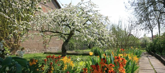 3-Zimmer Bauernhof in Gotha, Germany, Nr. 141234 22