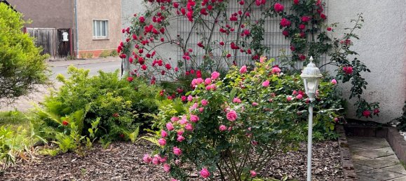 3-Zimmer Bauernhof in Gotha, Germany, Nr. 141234 4