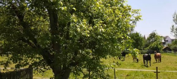 3-Zimmer Bauernhof in Gotha, Germany, Nr. 141234 8