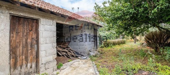 3 bedrooms House in Canas de Senhorim, Portugal No. 169543 27