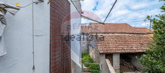 3 bedrooms House in Canas de Senhorim, Portugal No. 169543 25