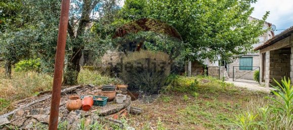 3 bedrooms House in Canas de Senhorim, Portugal No. 169543 29