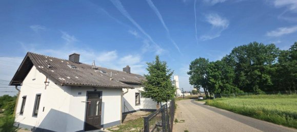 6 rooms Townhouse in Ziersdorf, Austria No. 235846 3