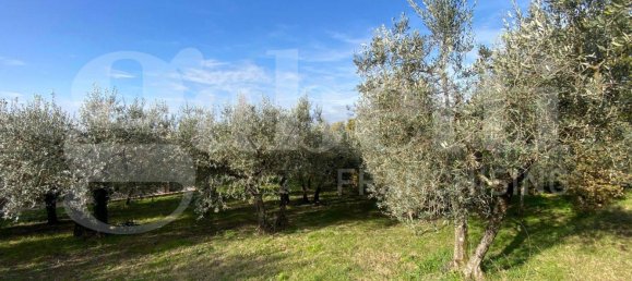 1 غرف نوم فيلا في Assisi, Italy رقم 50278 5