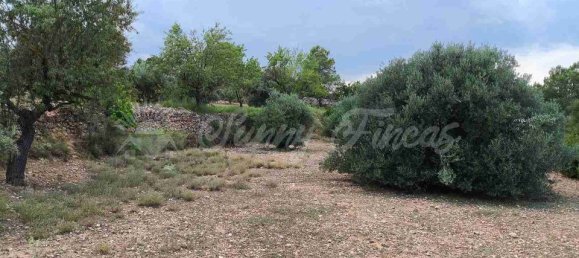 3 bedrooms House in Valencia, Spain No. 170327 33