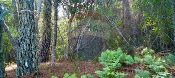 Terrain à Colares, Portugal 2760m² No. 58826 3