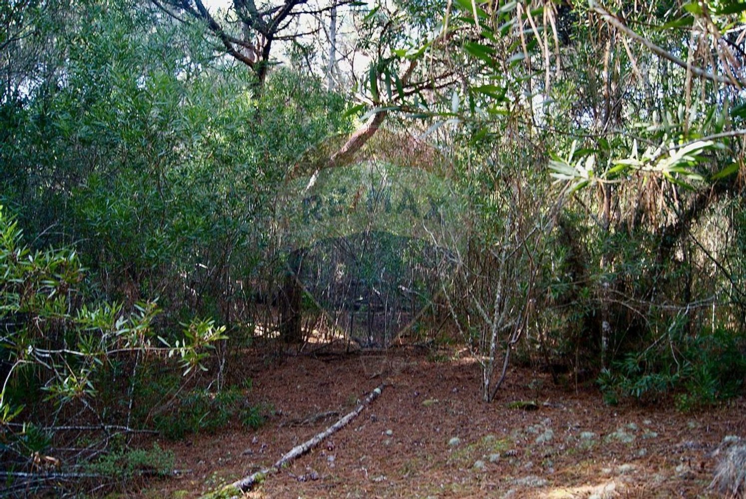 Terrain à Colares, Portugal 2760m² No. 58826