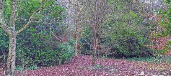 Terrain à Isle-Aubigny, France 2410m² No. 39112 6