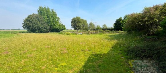 5 rooms Villa in Piacenza, Italy No. 143536 4