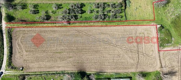 5965m² Land in Paolisi, Italy No. 108129 9