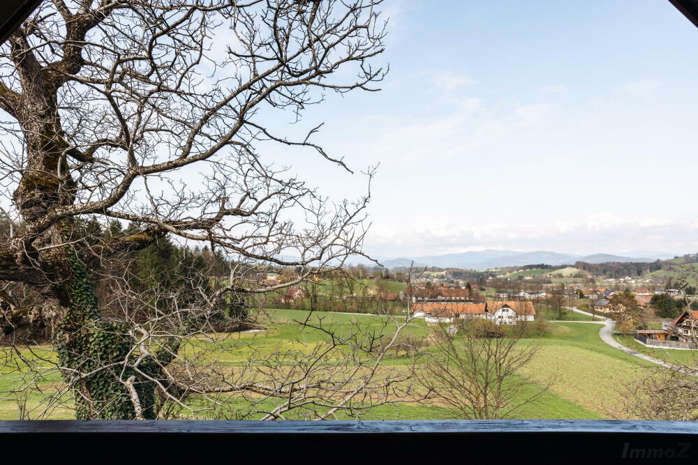 4-salle Maison à Oberhaag, Austria No. 170253