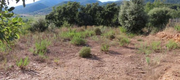 Grundstück in Collobrieres, France 991m², Nr. 120942 3