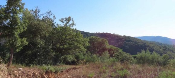 Grundstück in Collobrieres, France 991m², Nr. 120942 4