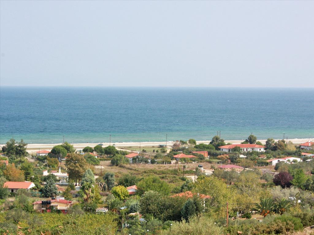  فندق في Chalkidiki, Greece 5980متر مربع رقم 53325
