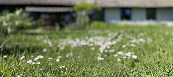 3 bedrooms House in Rostock, Germany No. 130876 9