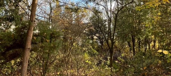 Grundstück in Mahlsdorf, Germany, Nr. 30449 2