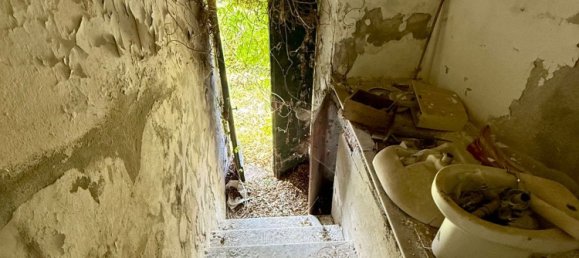 5-Zimmer Haus in Serra Riccò, Italy, Nr. 271868 4