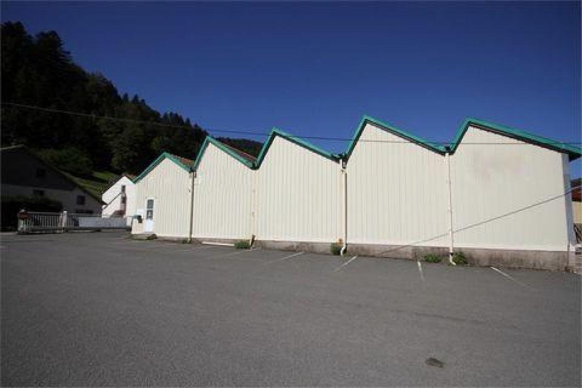 Oficina en La Bresse, France 1420 m² No. 17904