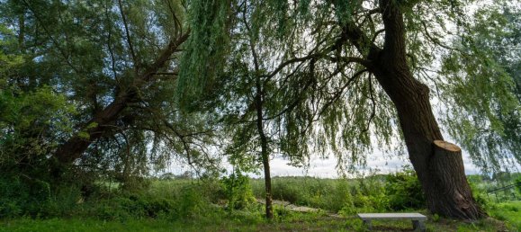 Bungalow de 2 dormitorios en Mecklenburgische Seenplatte, Germany No. 237318 20