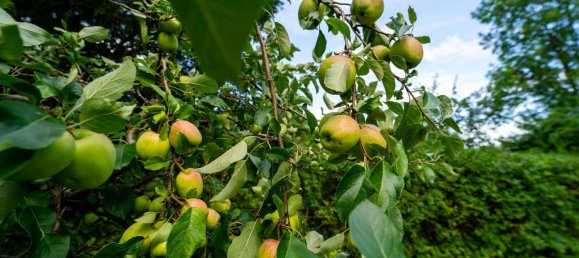 Bungalow de 2 dormitorios en Mecklenburgische Seenplatte, Germany No. 237318 21