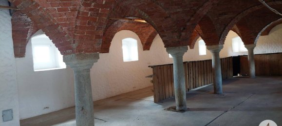  Commercial property in Utzenaich, Austria No. 116187 10