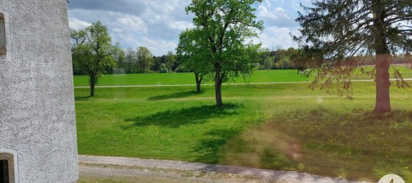  Commercial property in Utzenaich, Austria No. 116187 45