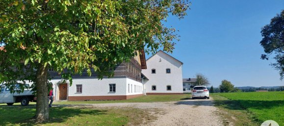  Commercial property in Utzenaich, Austria No. 116187 2