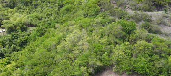 Terreno em Falmouth, Antigua and Barbuda 1538 m² N.º 40 7