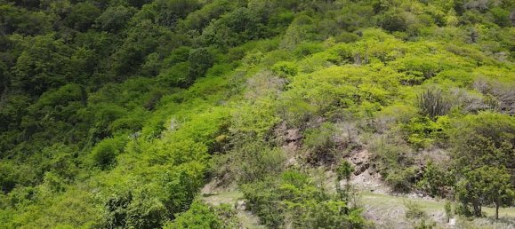 Terreno em Falmouth, Antigua and Barbuda 1538 m² N.º 40 2