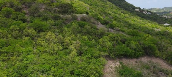 Terreno em Falmouth, Antigua and Barbuda 1538 m² N.º 40 10