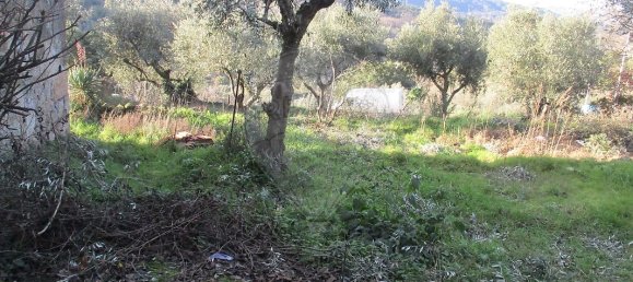 Casa de 2 dormitorios en Celorico da Beira, Portugal No. 30012 7