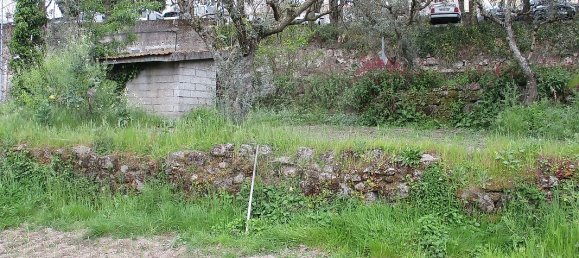 Casa de 2 dormitorios en Celorico da Beira, Portugal No. 30012 3