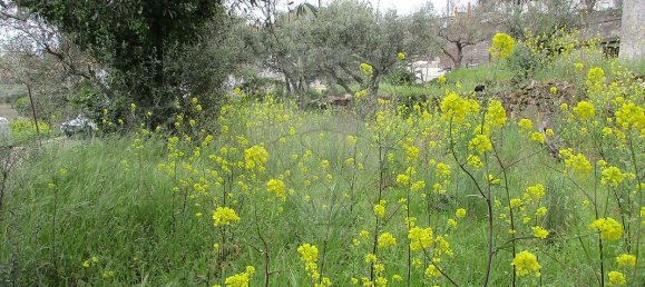 Casa de 2 dormitorios en Celorico da Beira, Portugal No. 30012 12